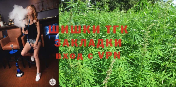 соль ск Богданович