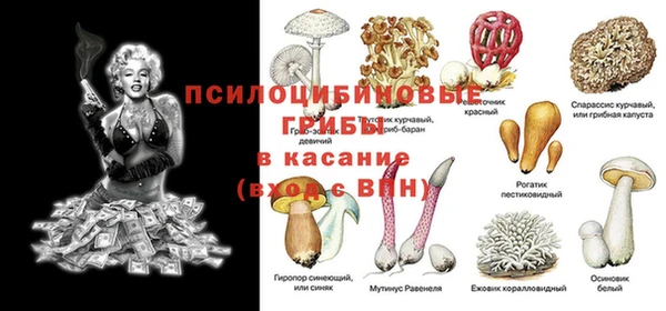 марки nbome Богородицк