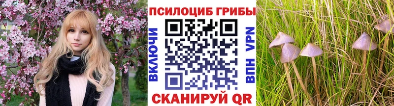 Псилоцибиновые грибы прущие грибы  купить наркотики сайты  маркетплейс состав  Надым 